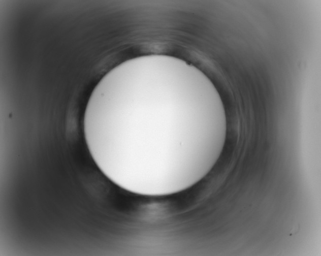 X0000089860312200707191925