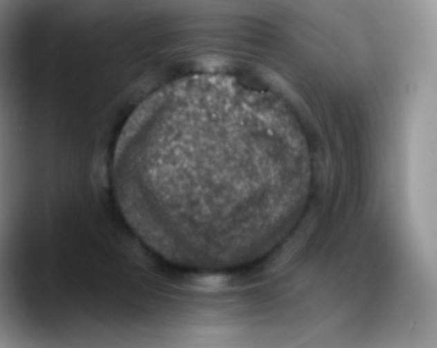 X0000089860313200707191925