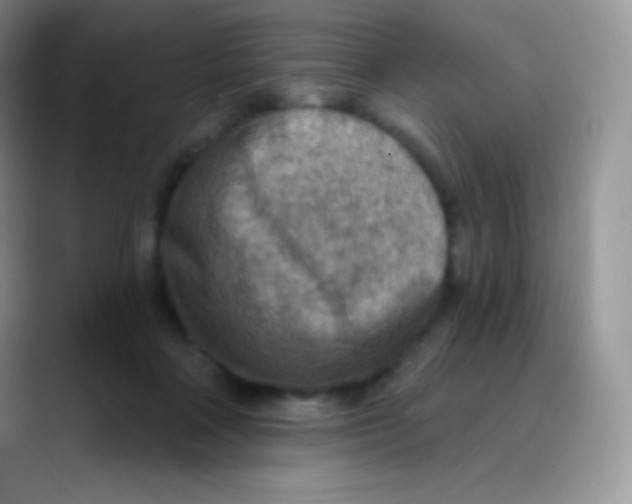 X0000089860314200707191925