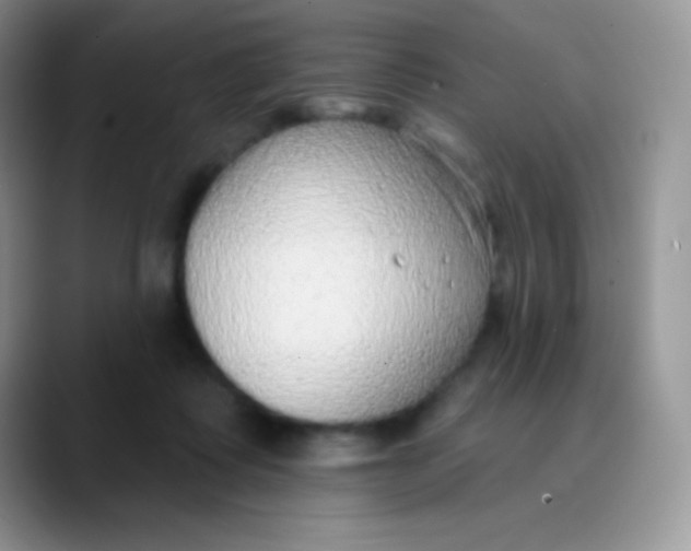 X0000089860315200707191925