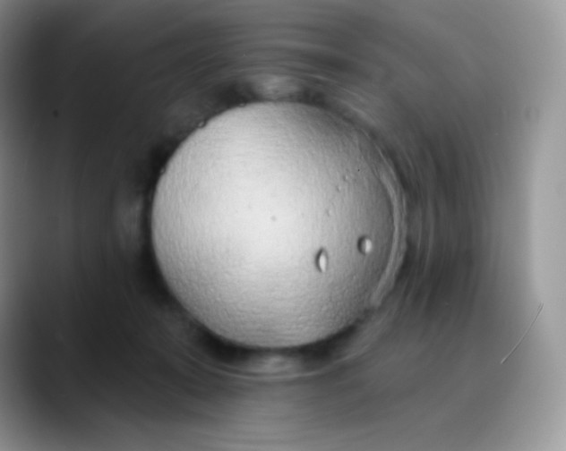 X0000089860319200707191925