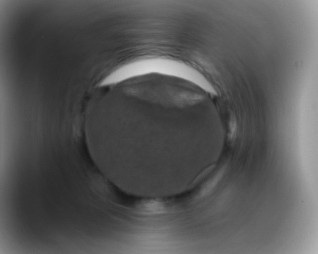 X0000089860325200707191925