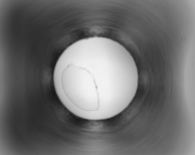 X0000089860328200707191925