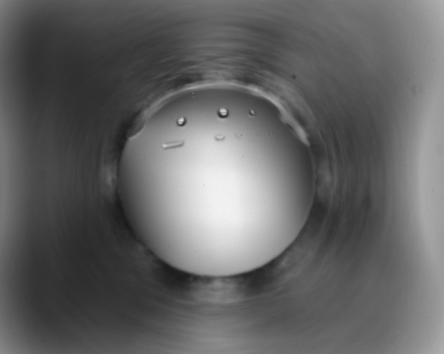 X0000089860329200707191925