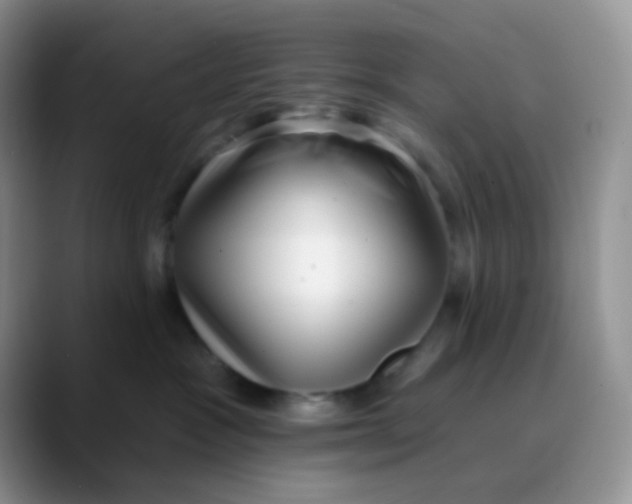 X0000089860333200707191925