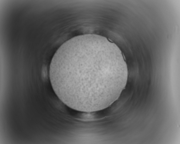 X0000089860335200707191925