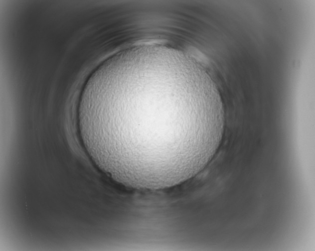 X0000089860337200707191924