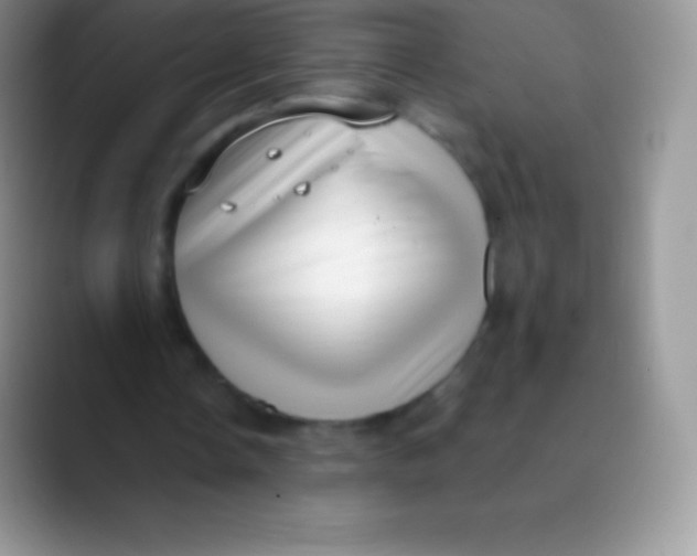 X0000089860338200707191924