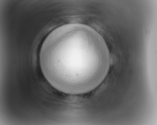 X0000089860339200707191924