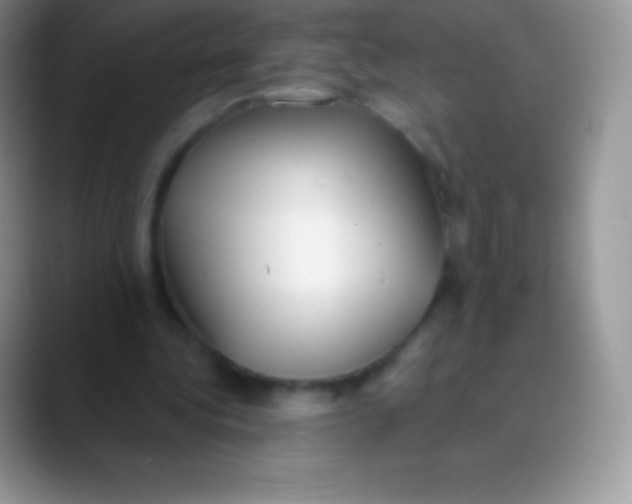 X0000089860340200707191924