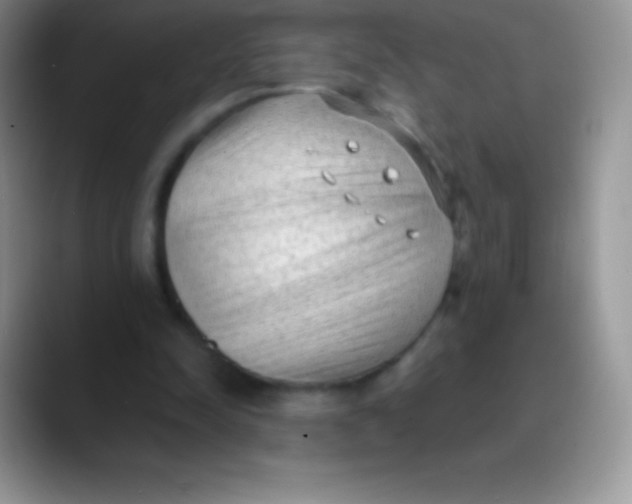 X0000089860342200707191924