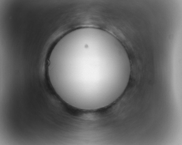 X0000089860344200707191924