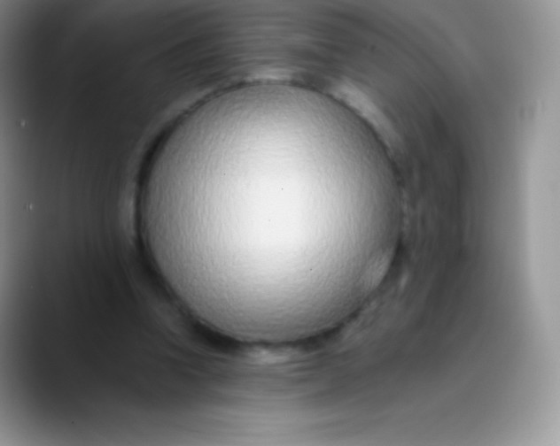 X0000089860346200707191924