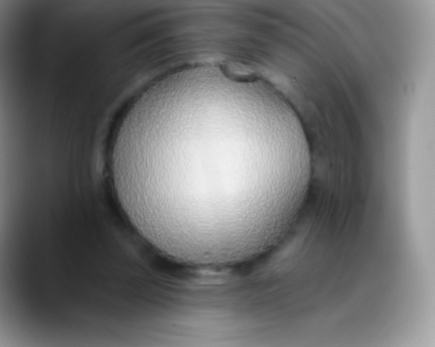 X0000089860347200707191924