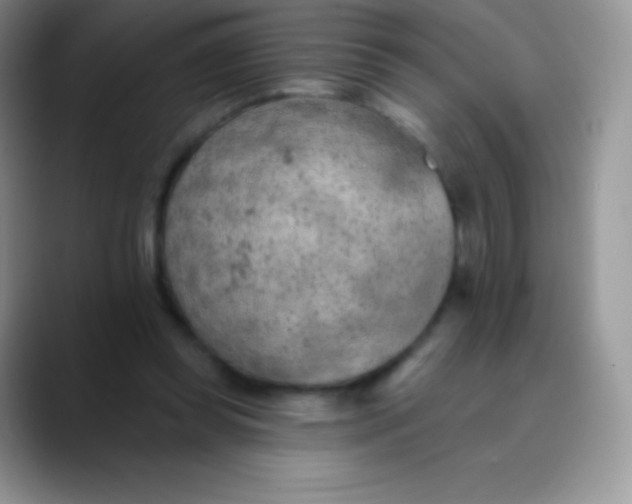 X0000089860349200707191924