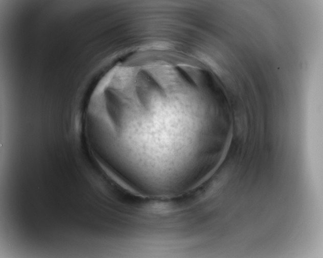 X0000089860350200707191924