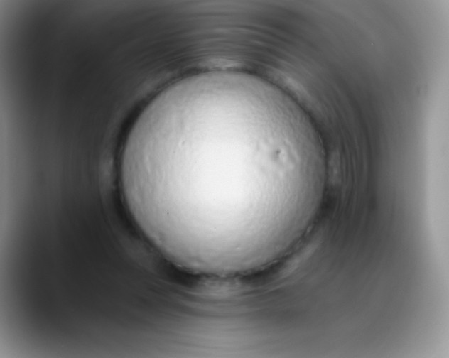 X0000089860351200707191924