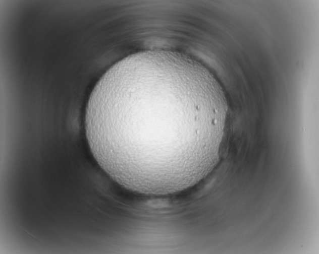 X0000089860353200707191924