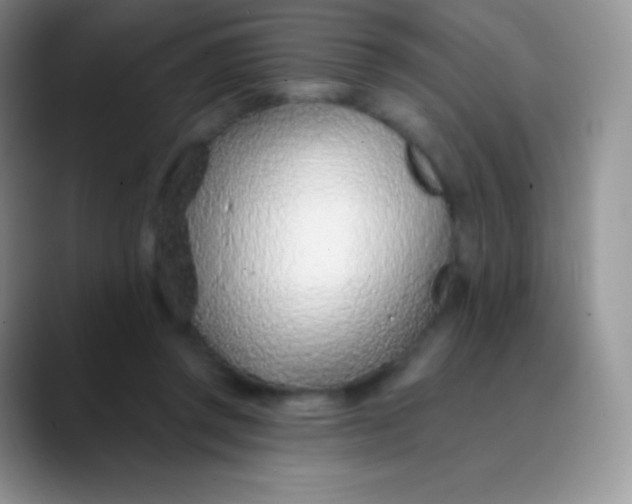 X0000089860357200707191924