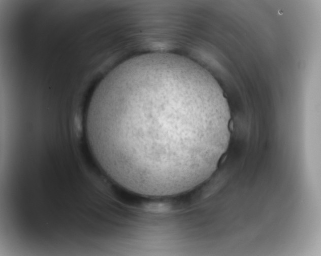 X0000089860358200707191924