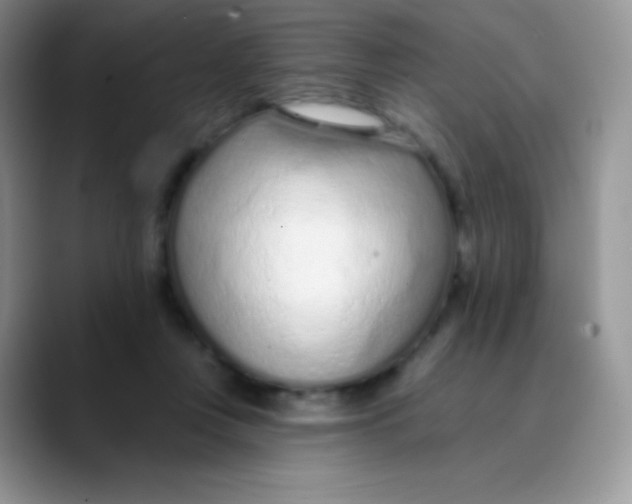 X0000089860359200707191924