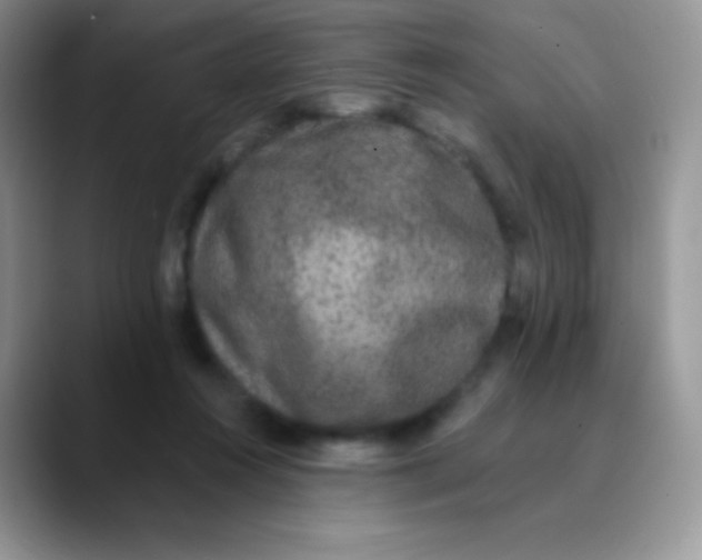 X0000089860360200707191924