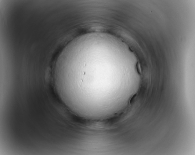 X0000089860361200707191924