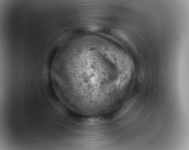 X0000089860366200707191924