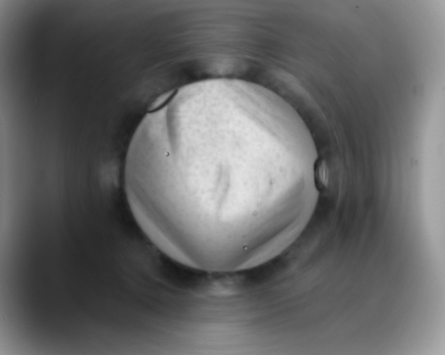 X0000089860368200707191924