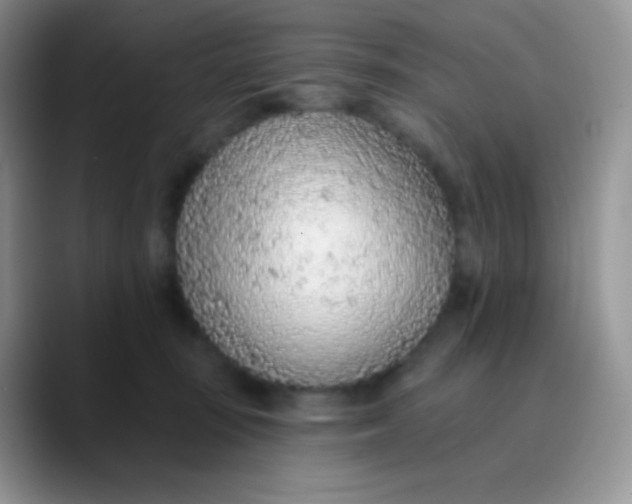 X0000089860371200707191925