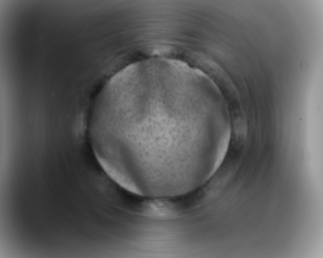 X0000089860372200707191925