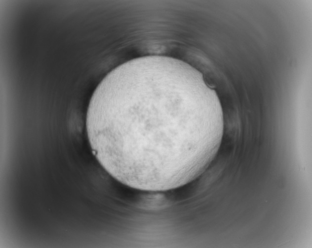 X0000089860374200707191925