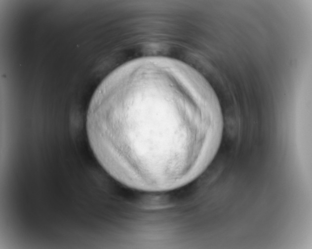 X0000089860375200707191925