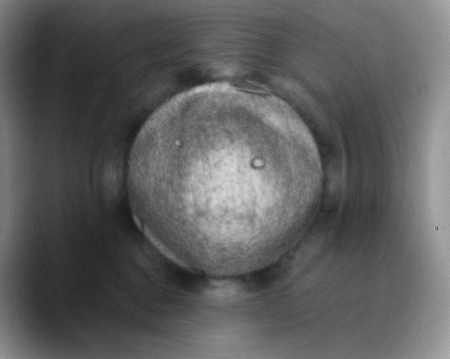 X0000089860376200707191925