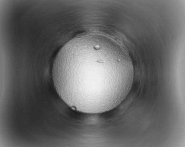 X0000089860377200707191925