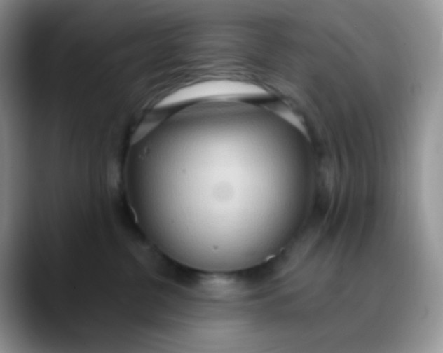 X0000089860380200707191925