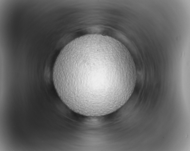 X0000089860381200707191925