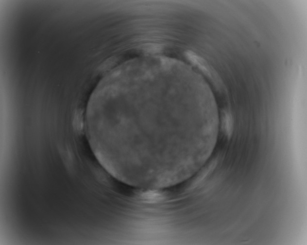 X0000089860383200707191925