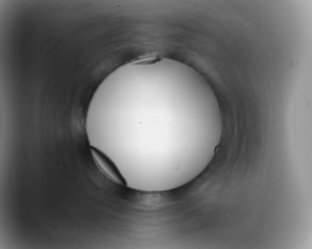 X0000089860384200707191925