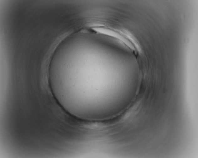 X0000089860385200707191924