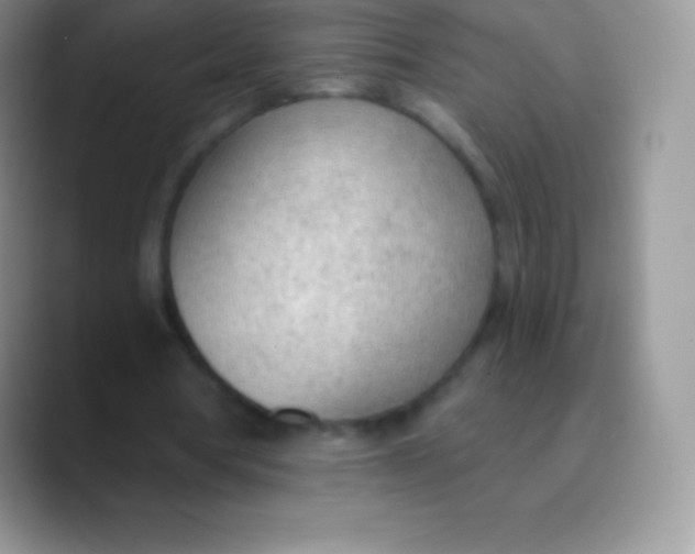 X0000089860386200707191924