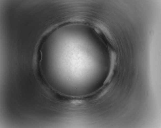 X0000089860388200707191924