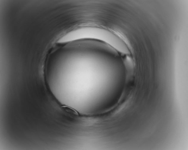 X0000089860389200707191924