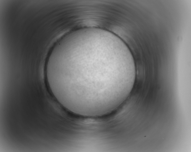 X0000089860390200707191924