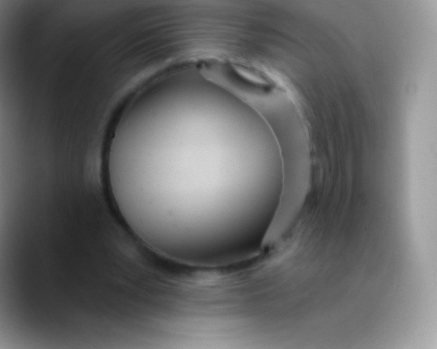 X0000089860391200707191924