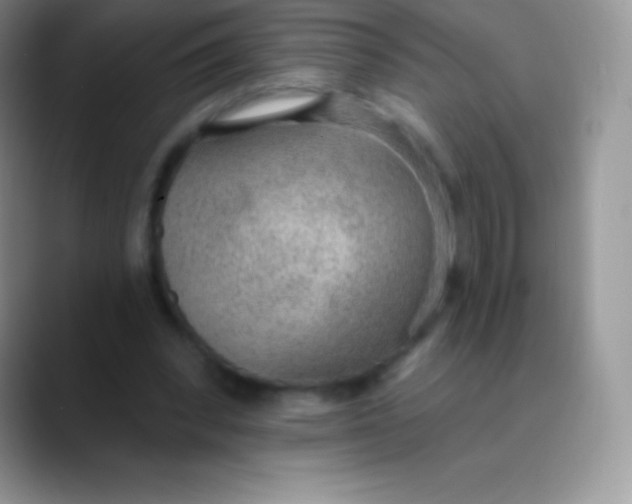 X0000089860392200707191924