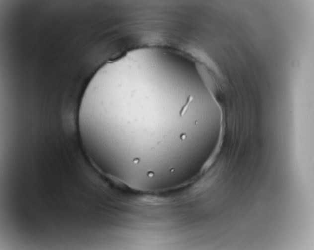 X0000089860393200707191924