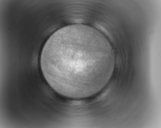 X0000089860394200707191924