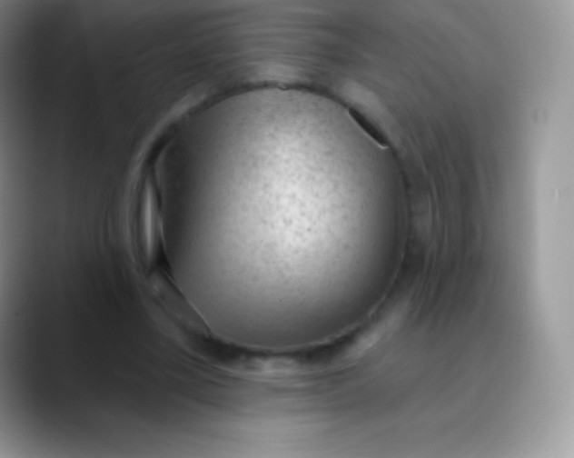 X0000089860395200707191924