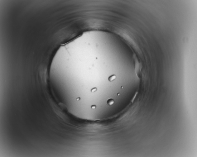 X0000089860397200707191924